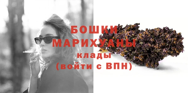 индика Баксан
