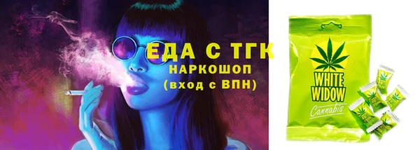 индика Баксан