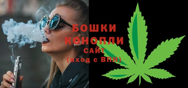 индика Баксан