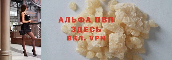 индика Баксан